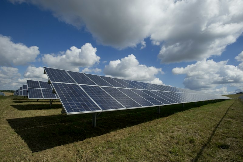 Solar energy startup
